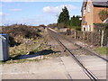 Along the tracks looking towards Nacton