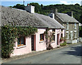 Salmon pink cottages