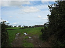 SH4679 : Farmland east of Afon Erddreiniog by Eric Jones