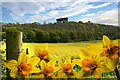 Penshaw Monument