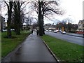 Tree-lined pavement by Berryknowes Road