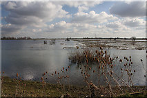TL4482 : The Ouse Washes by Bob Jones