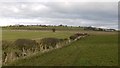 Footpath to Ingoe