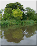 SJ9822 : Staffordshire and Worcestershire Canal, Tixall, Staffordshire by Roger  D Kidd