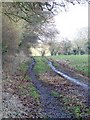 Footpath to Chettle Head Copse