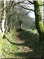 Bridleway through the fields above the Sawdde Fechan