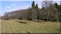 Field with pond and stable near Borden