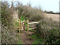 Footpath through the Meads, Bridgwater