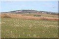 Muck-spreading at Mains of Paithnick