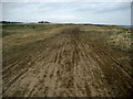 Reclaimed Land above Lynemouth Bay