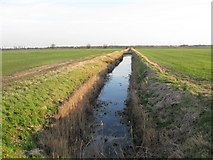 TR2364 : Ditch draining into Sarre Penn on Chislet Marshes by Nick Smith