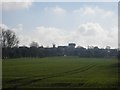 Swaffham Prior skyline