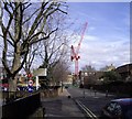 Crane in Grove Lane