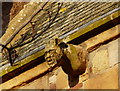 Gargoyle, Dornoch cathedral