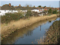 Bridgwater and Taunton Canal from Hamp Bridge