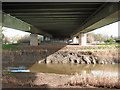 Under the motorway, Bridgwater