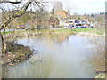 North Holmwood Village Pond