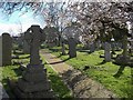 Cemetery, St Stephens