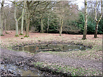 SP9712 : A Round Woodland Pond at Ashridge by Chris Reynolds