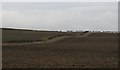 NU1525 : Ploughed fields , Wandylaw by Richard Webb