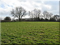 Field view to obsolete greenhouses