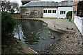 The Coach Washing Pond at Saltram House