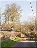 SU6127 : Church Lane, Bramdean by Peter Facey