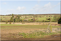SU6027 : Fields west of Church Lane, Bramdean by Peter Facey