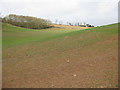 Hillside North of Chapel Farm