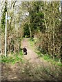 Footpath off Marshcroft Lane