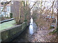 Rickmansworth: Town Ditch (5)