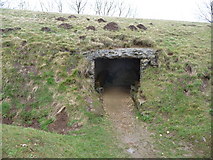 SP0225 : Burial chamber in the western side of Belas Knap long barrow. by Jeremy Bolwell
