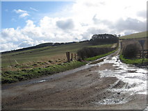 NT9034 : Road to Kypie Farm by James Denham