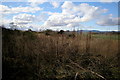 View of Dismantled Railway near Forfar, looking west