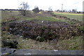 View of Dismantled Railway near Forfar