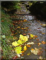 Swale footpath