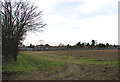 Allotments beside the A140