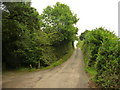 Mid Devon : Country Lane