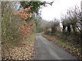 Foot and cycle path to Horsham St Faith