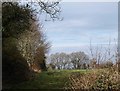 Field, Corfe