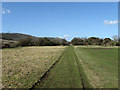 Footpath to Charlton Court