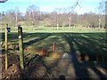 Small footbridge in golf course