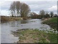 SY9899 : River Stour near Fortis Ford by John Palmer