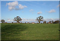 Pasture north of the A534