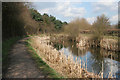 The Nottingham Canal near Cossall