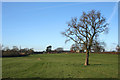 Farmland near Bank Farm, Burland