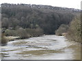 The River Torridge, near Taddiport