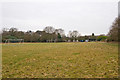 The Clump Inn Football Playing Field