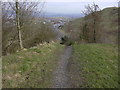 Footpath Peel Park