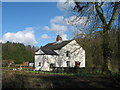 Cottage in the Woods